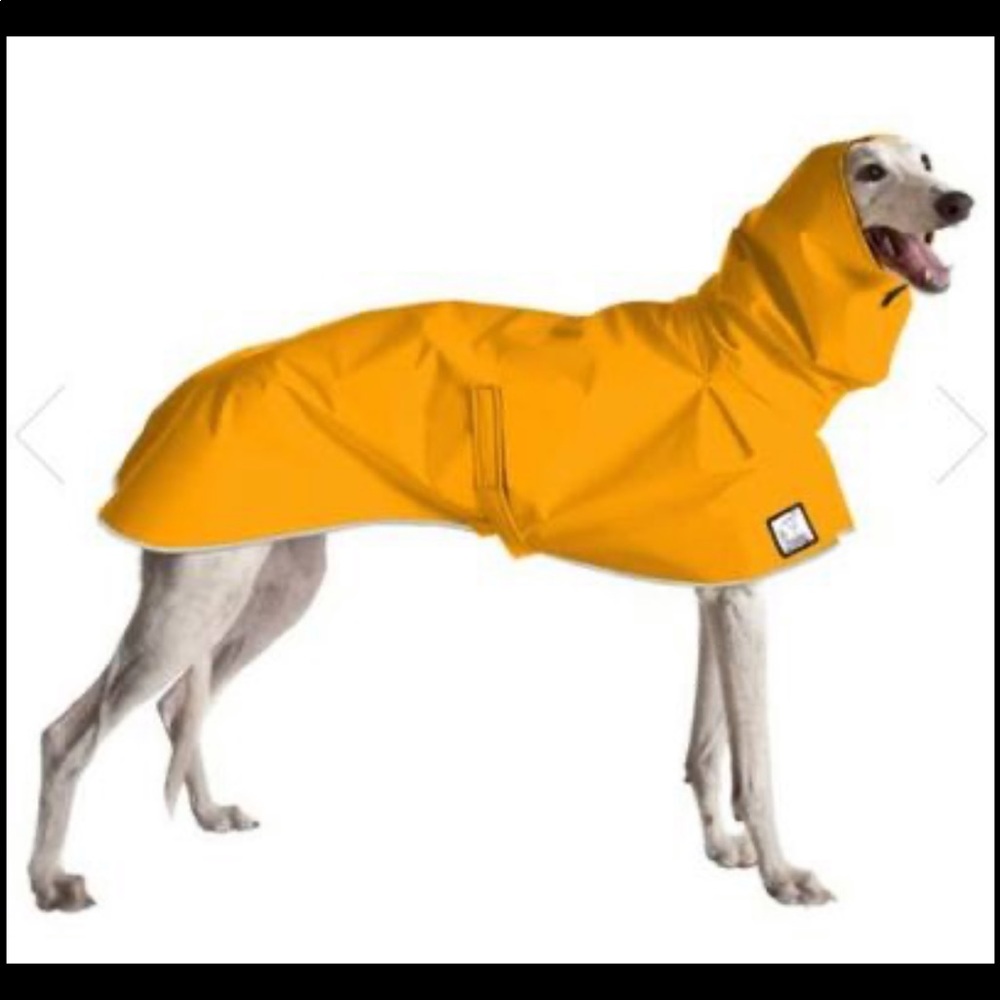 NEW Greyhound Raincoat Voyagers K9 Apparel